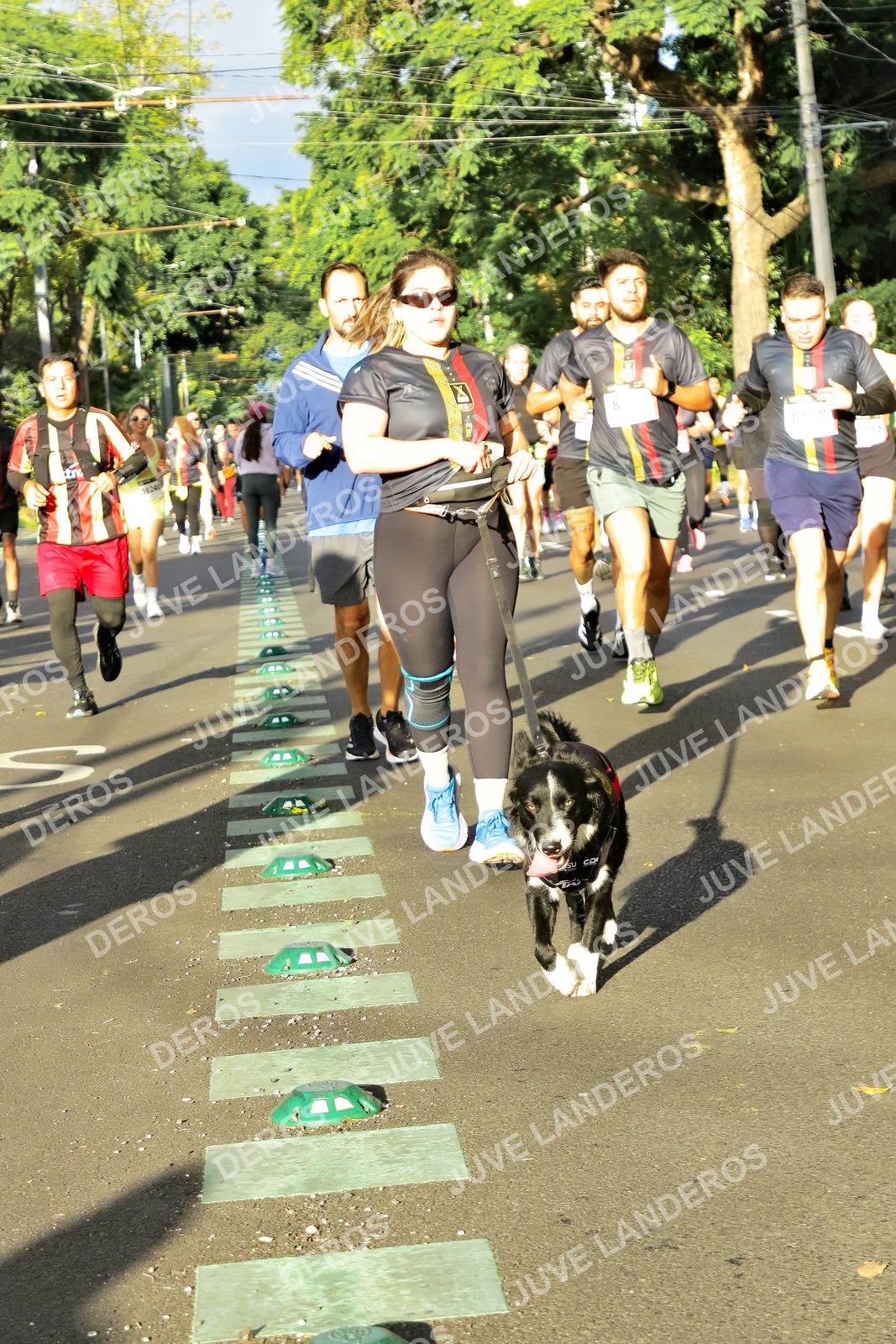 Foto de la X Carrera Leones Negros Red Cola 2026 en Rectoría General de la UdeG, Av. Juárez 976 (meta en Av. Enrique Díaz de León y Pedro Moreno), Guadalajara a las 07:49