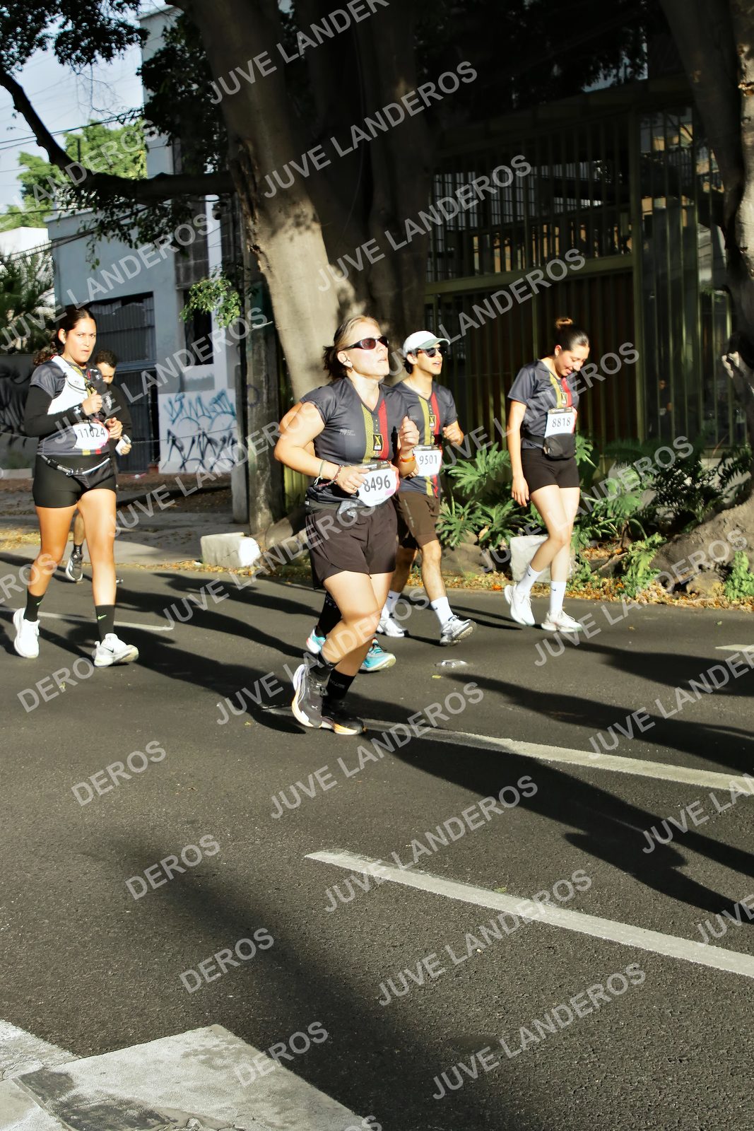 Foto de la X Carrera Leones Negros Red Cola 2026 en Rectoría General de la UdeG, Av. Juárez 976 (meta en Av. Enrique Díaz de León y Pedro Moreno), Guadalajara a las 07:59 · dorsal 8496, 8818, 9501, 11024