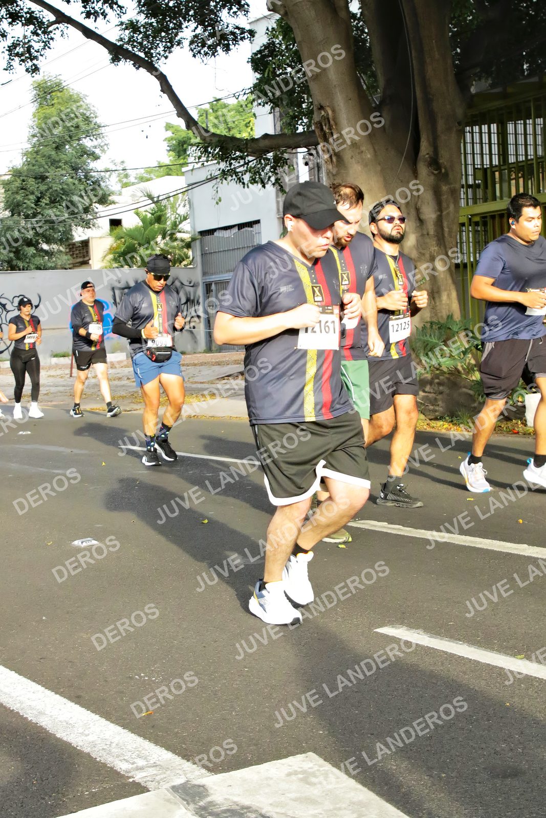 Foto de la X Carrera Leones Negros Red Cola 2026 en Rectoría General de la UdeG, Av. Juárez 976 (meta en Av. Enrique Díaz de León y Pedro Moreno), Guadalajara a las 08:04 · dorsal 12125, 161