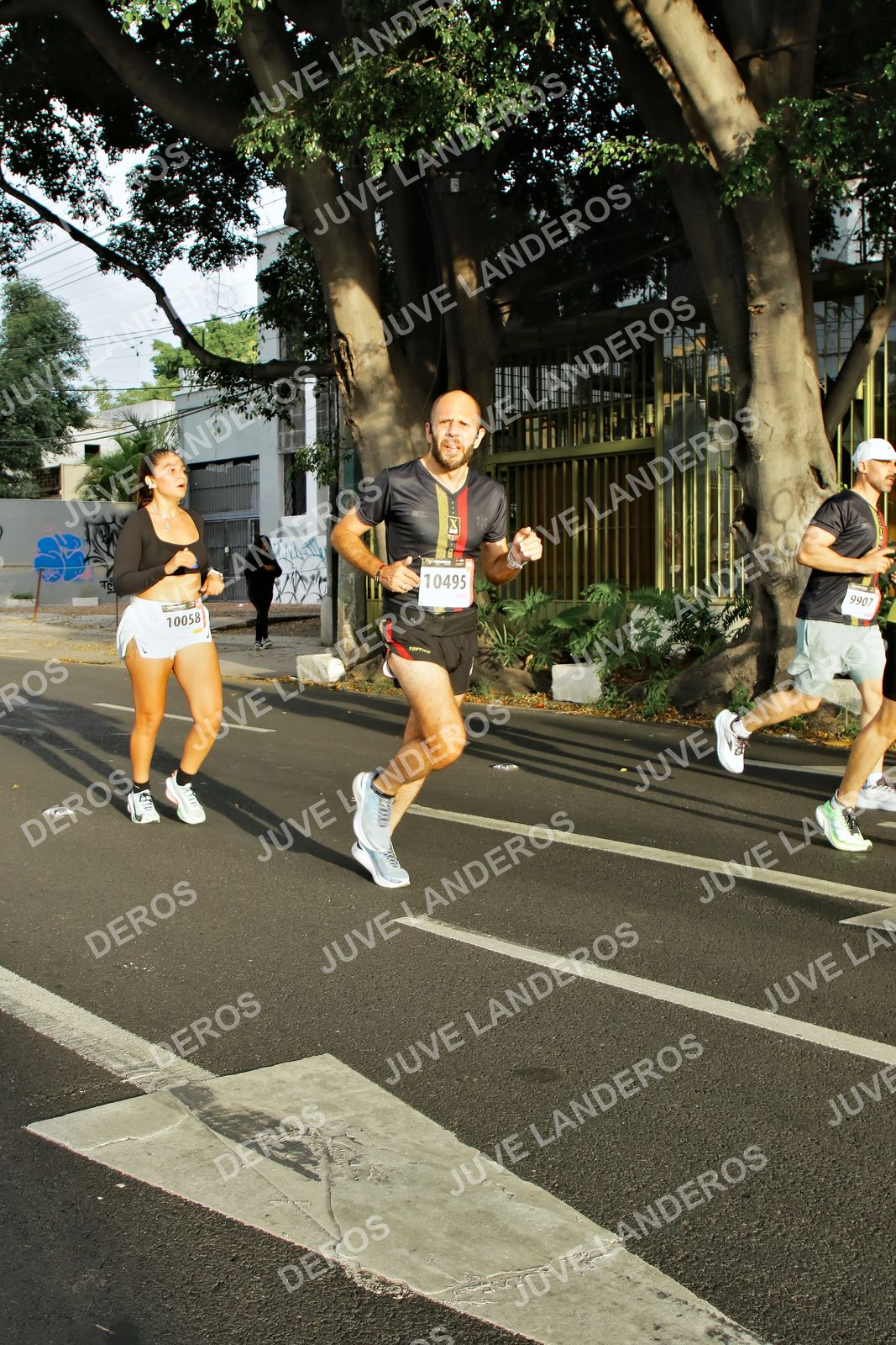Foto de la X Carrera Leones Negros Red Cola 2026 en Rectoría General de la UdeG, Av. Juárez 976 (meta en Av. Enrique Díaz de León y Pedro Moreno), Guadalajara a las 07:33 · dorsal 10495, 10058, 9907