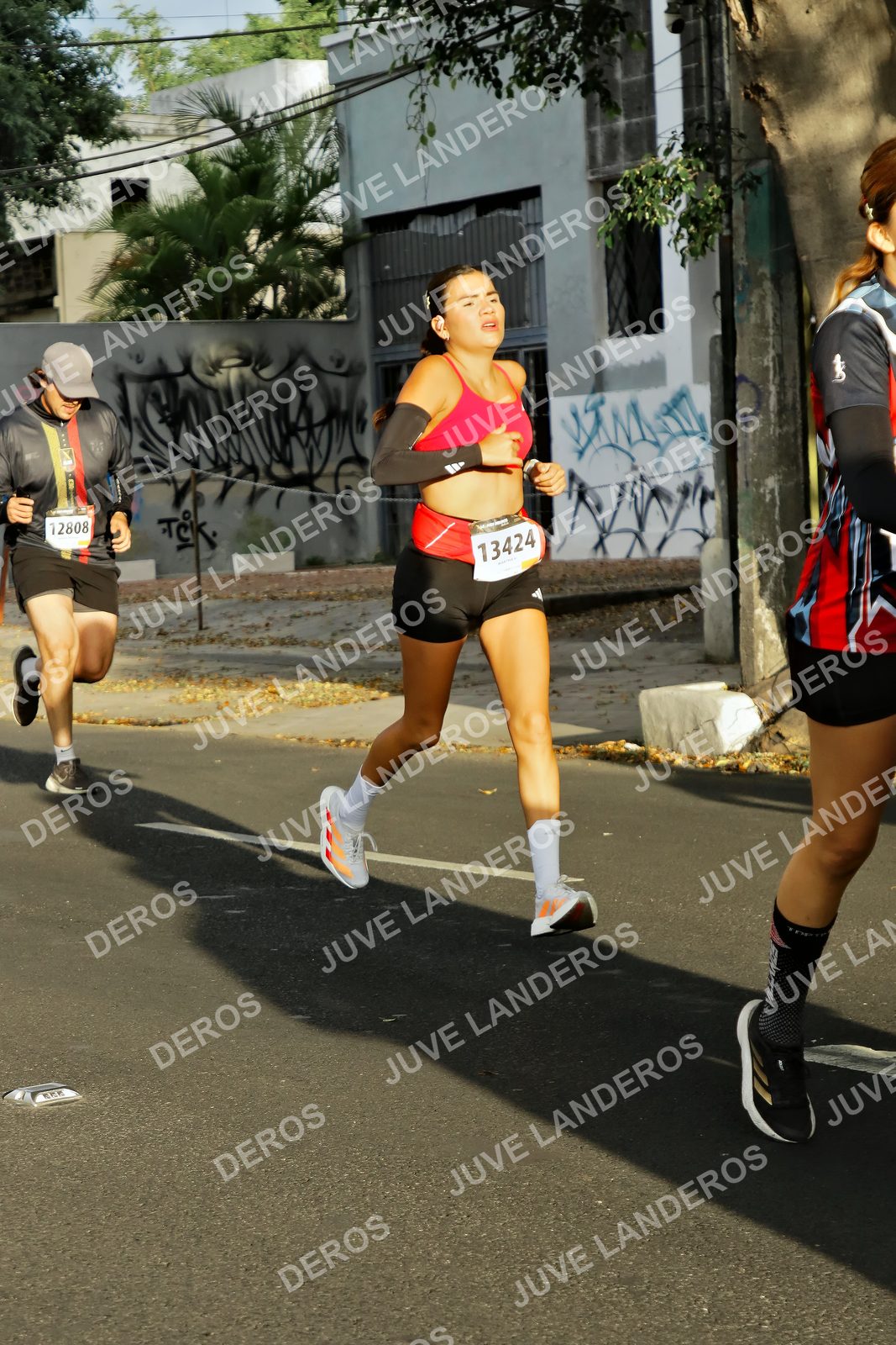 Foto de la X Carrera Leones Negros Red Cola 2026 en Rectoría General de la UdeG, Av. Juárez 976 (meta en Av. Enrique Díaz de León y Pedro Moreno), Guadalajara a las 07:36 · dorsal 13424, 12808
