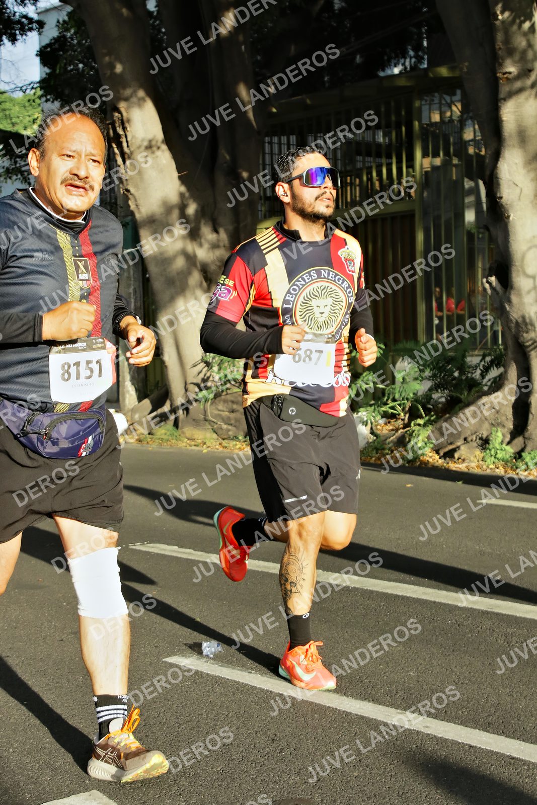 Foto de la X Carrera Leones Negros Red Cola 2026 en Rectoría General de la UdeG, Av. Juárez 976 (meta en Av. Enrique Díaz de León y Pedro Moreno), Guadalajara a las 07:45 · dorsal 8151, 6871