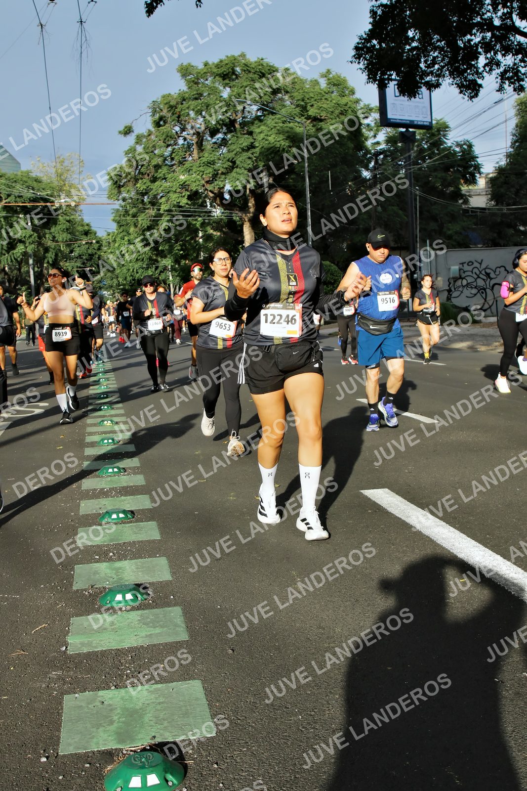 Foto de la X Carrera Leones Negros Red Cola 2026 en Rectoría General de la UdeG, Av. Juárez 976 (meta en Av. Enrique Díaz de León y Pedro Moreno), Guadalajara a las 07:57 · dorsal 12246, 9516, 9653, 8939