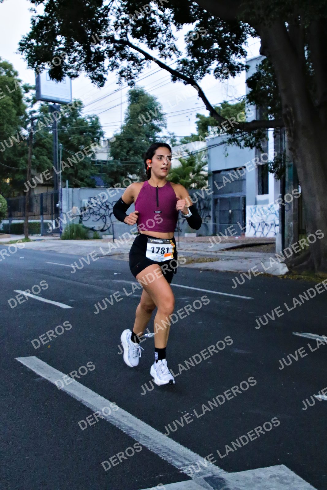 Foto de la X Carrera Leones Negros Red Cola 2026 en Rectoría General de la UdeG, Av. Juárez 976 (meta en Av. Enrique Díaz de León y Pedro Moreno), Guadalajara a las 04:54 · dorsal 1781