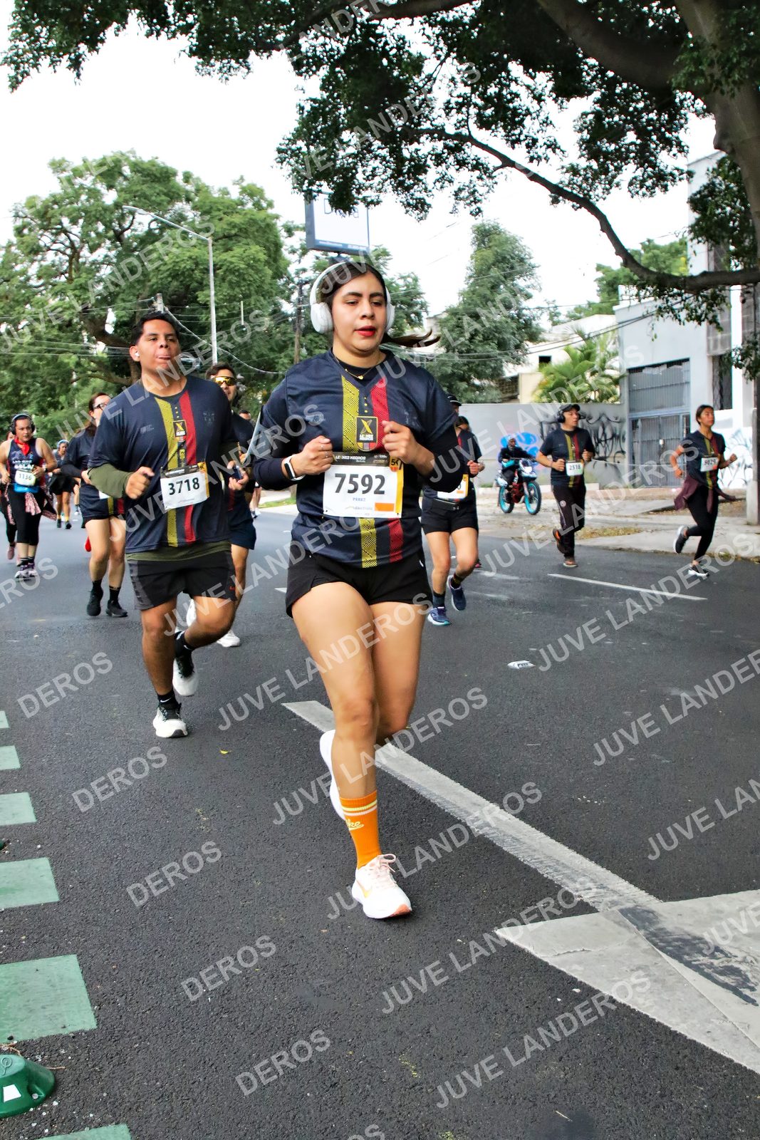 Foto de la X Carrera Leones Negros Red Cola 2026 en Rectoría General de la UdeG, Av. Juárez 976 (meta en Av. Enrique Díaz de León y Pedro Moreno), Guadalajara a las 05:11 · dorsal 7592, 3718, 1136