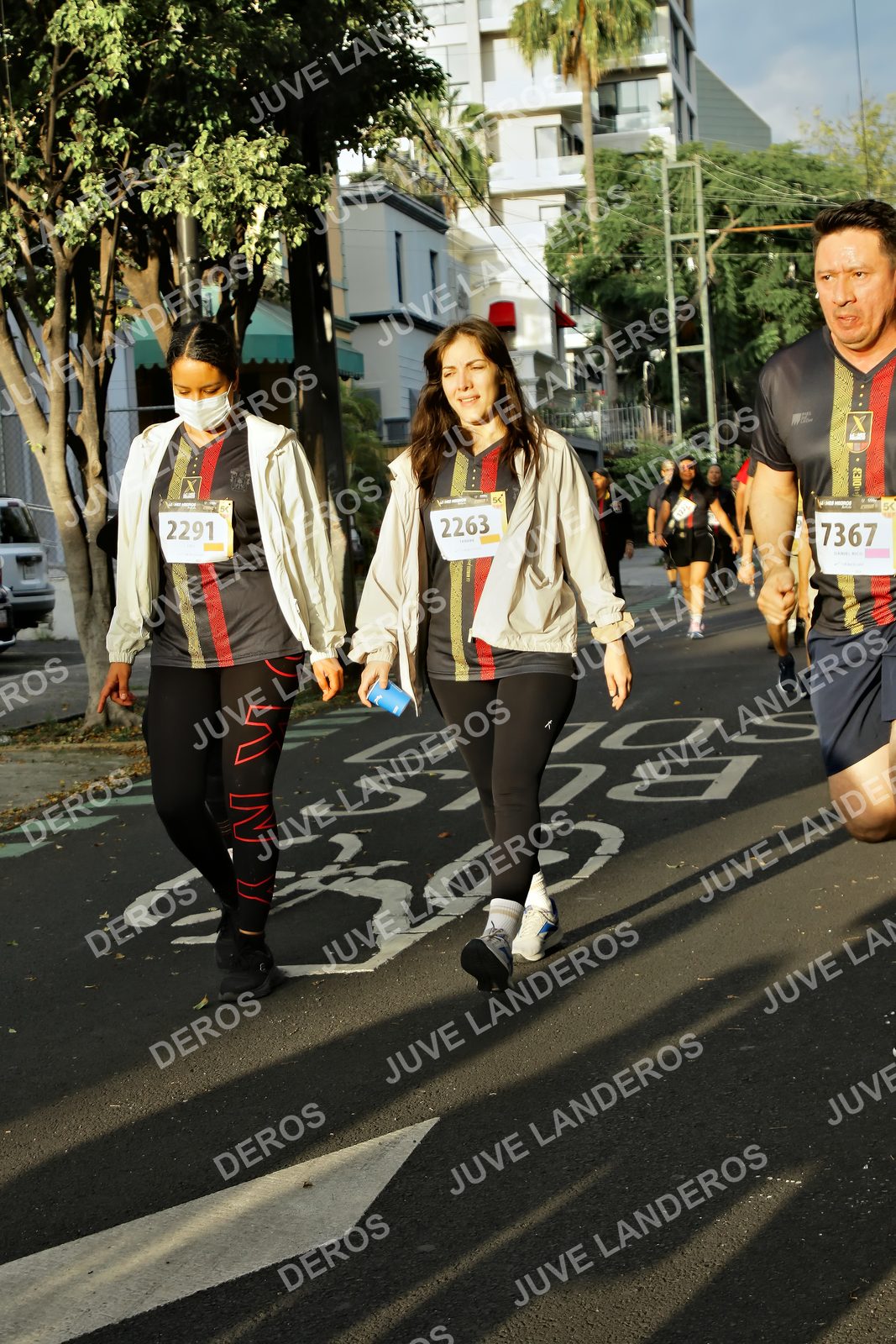 Foto de la X Carrera Leones Negros Red Cola 2026 en Rectoría General de la UdeG, Av. Juárez 976 (meta en Av. Enrique Díaz de León y Pedro Moreno), Guadalajara a las 07:31 · dorsal 7367, 2291, 2263