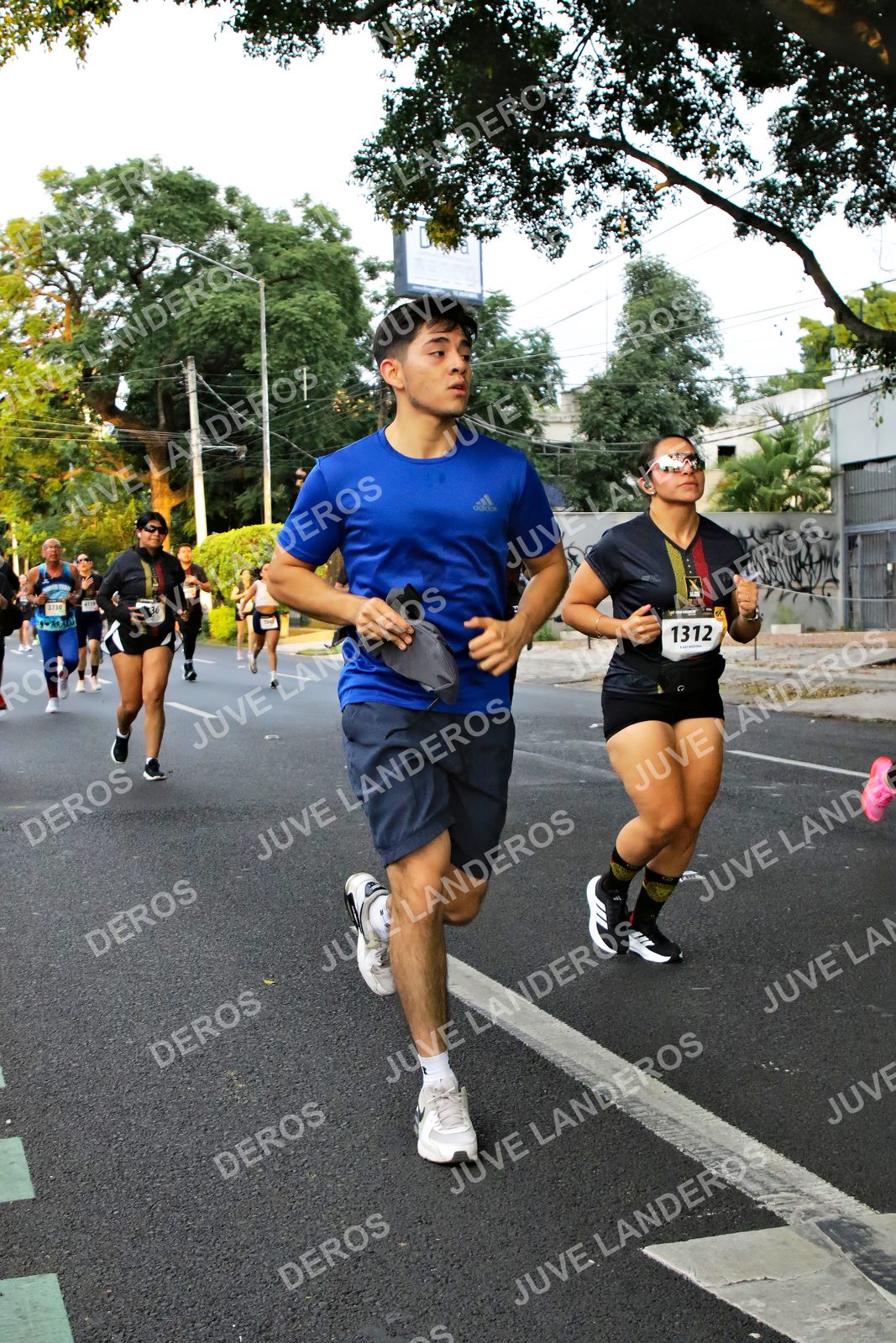 Foto de la X Carrera Leones Negros Red Cola 2026 en Rectoría General de la UdeG, Av. Juárez 976 (meta en Av. Enrique Díaz de León y Pedro Moreno), Guadalajara a las 05:05 · dorsal 1312, 36