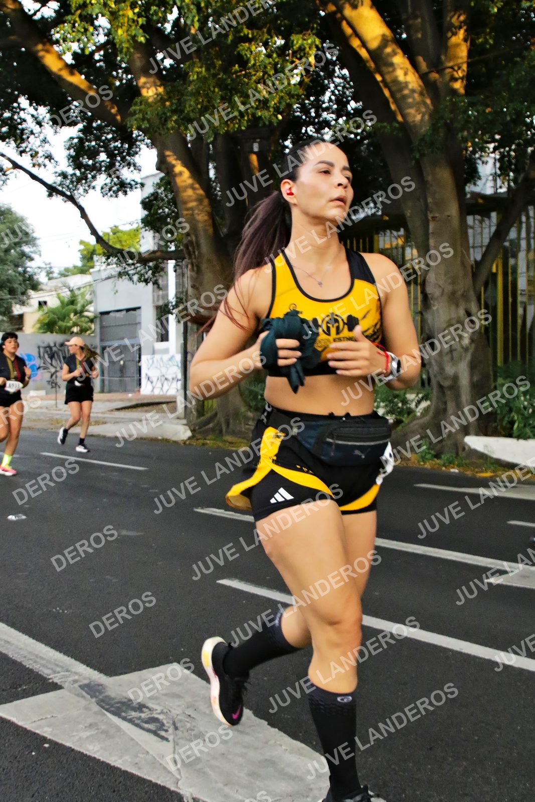 Foto de la X Carrera Leones Negros Red Cola 2026 en Rectoría General de la UdeG, Av. Juárez 976 (meta en Av. Enrique Díaz de León y Pedro Moreno), Guadalajara a las 05:06