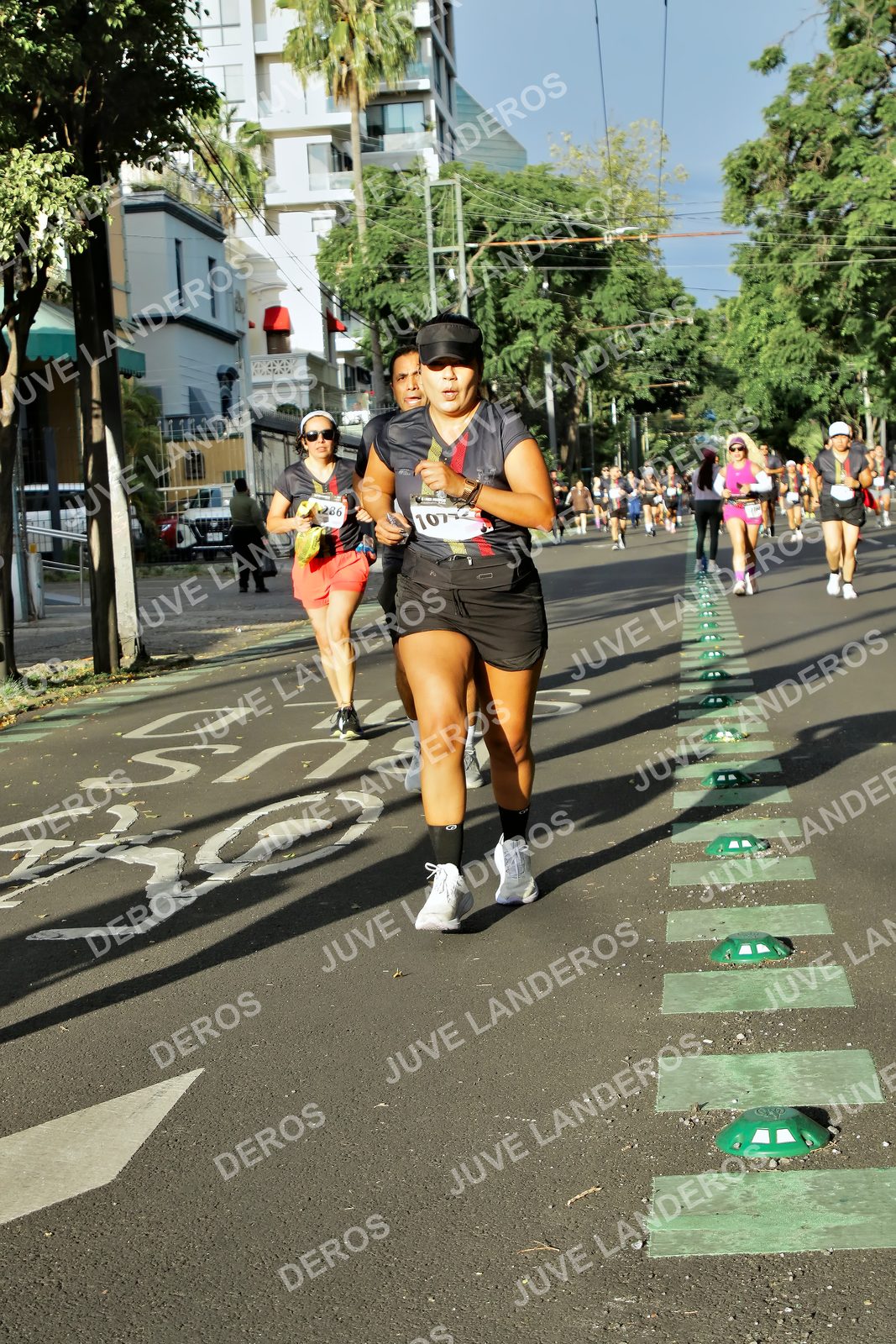 Foto de la X Carrera Leones Negros Red Cola 2026 en Rectoría General de la UdeG, Av. Juárez 976 (meta en Av. Enrique Díaz de León y Pedro Moreno), Guadalajara a las 07:53 · dorsal 286