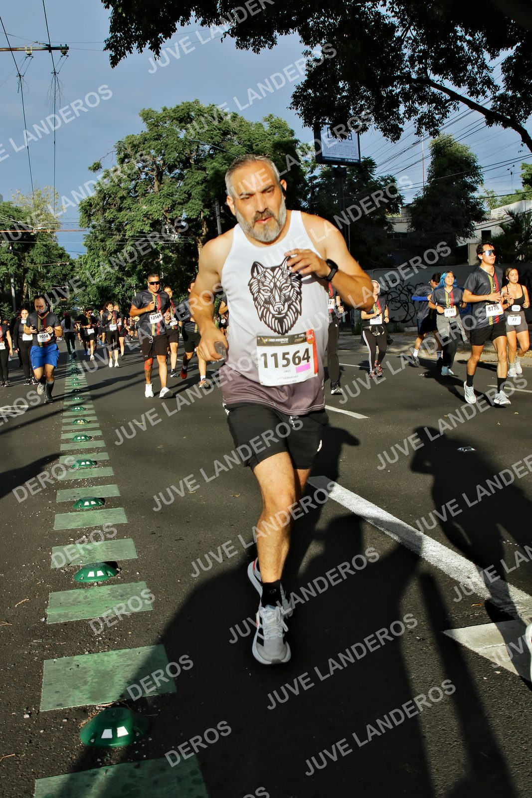 Foto de la X Carrera Leones Negros Red Cola 2026 en Rectoría General de la UdeG, Av. Juárez 976 (meta en Av. Enrique Díaz de León y Pedro Moreno), Guadalajara a las 07:51 · dorsal 11564, 8778