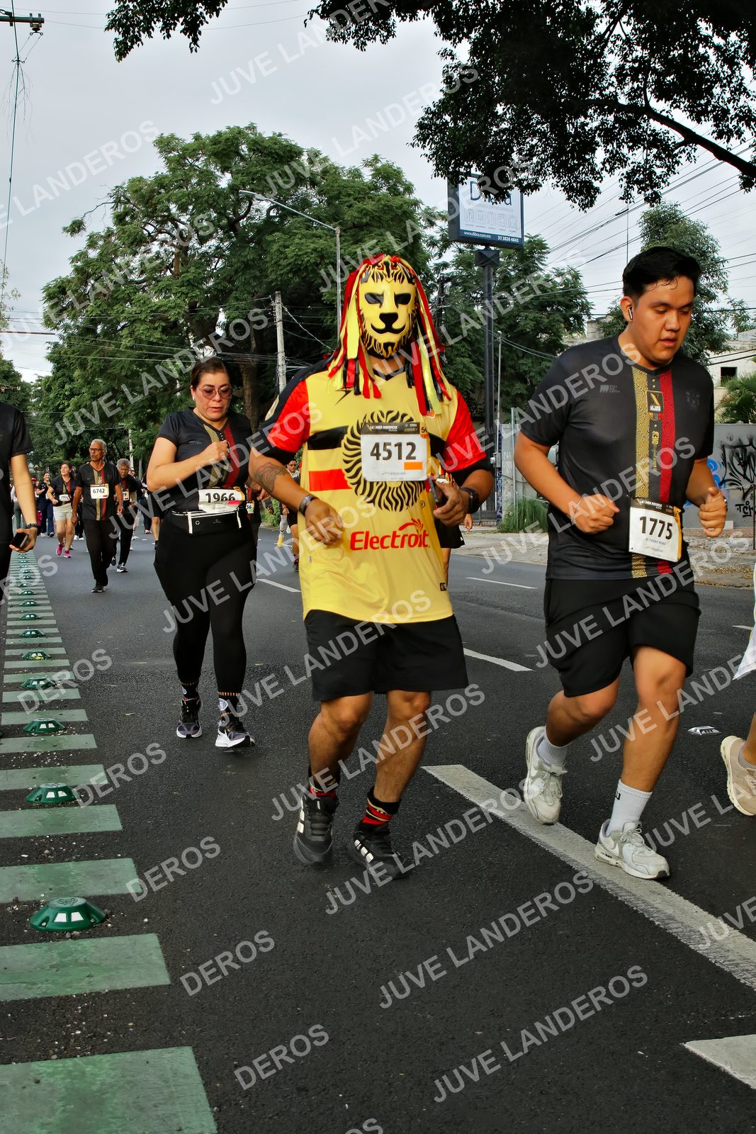 Foto de la X Carrera Leones Negros Red Cola 2026 en Rectoría General de la UdeG, Av. Juárez 976 (meta en Av. Enrique Díaz de León y Pedro Moreno), Guadalajara a las 07:21 · dorsal 4512, 1775, 1966, 6742