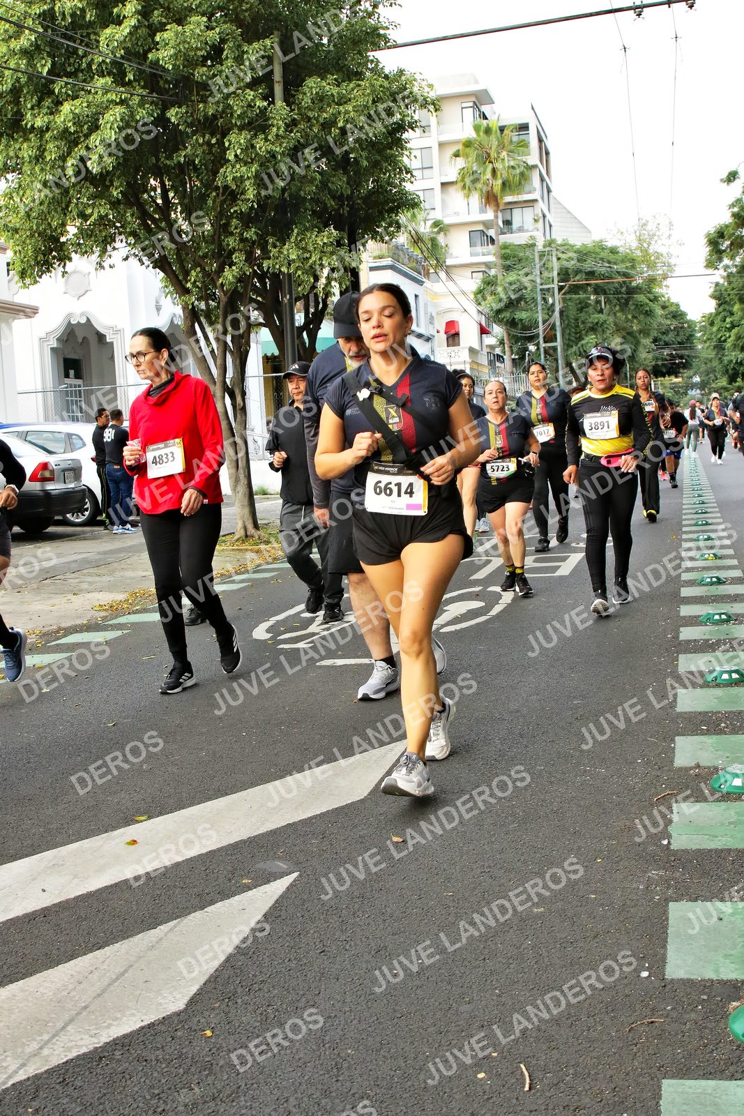 Foto de la X Carrera Leones Negros Red Cola 2026 en Rectoría General de la UdeG, Av. Juárez 976 (meta en Av. Enrique Díaz de León y Pedro Moreno), Guadalajara a las 07:18 · dorsal 6614, 4833, 3891, 5723