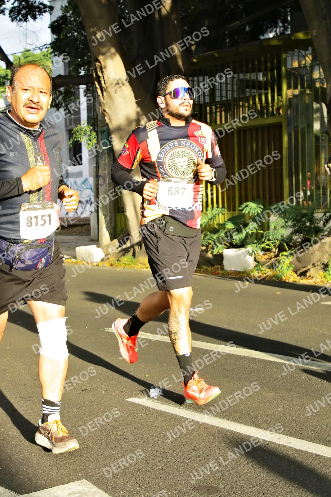 Foto de la X Carrera Leones Negros Red Cola 2026 en Rectoría General de la UdeG, Av. Juárez 976 (meta en Av. Enrique Díaz de León y Pedro Moreno), Guadalajara a las 07:45 · dorsal 8151, 687