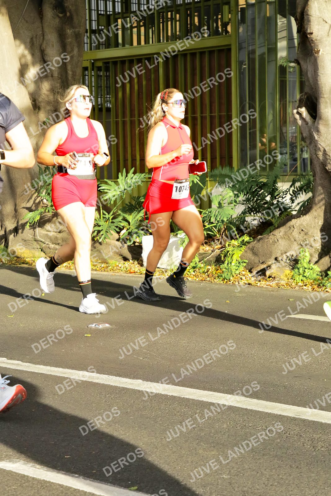 Foto de la X Carrera Leones Negros Red Cola 2026 en Rectoría General de la UdeG, Av. Juárez 976 (meta en Av. Enrique Díaz de León y Pedro Moreno), Guadalajara a las 08:01 · dorsal 10743