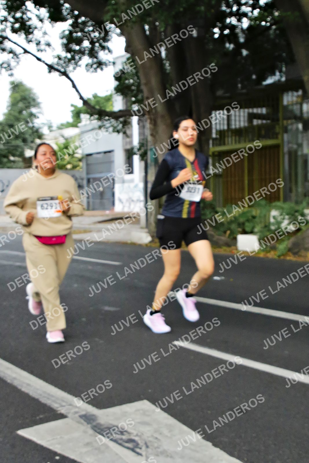 Foto de la X Carrera Leones Negros Red Cola 2026 en Rectoría General de la UdeG, Av. Juárez 976 (meta en Av. Enrique Díaz de León y Pedro Moreno), Guadalajara a las 05:10 · dorsal 6293, 5231