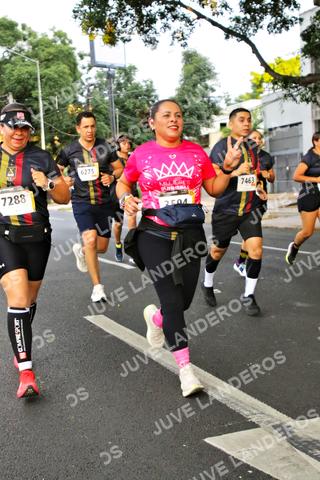 Foto de la X Carrera Leones Negros Red Cola 2026 a las 05:03