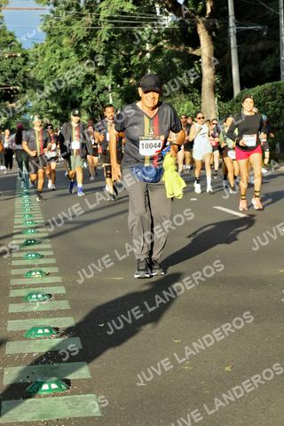 Foto de la X Carrera Leones Negros Red Cola 2026 a las 07:43