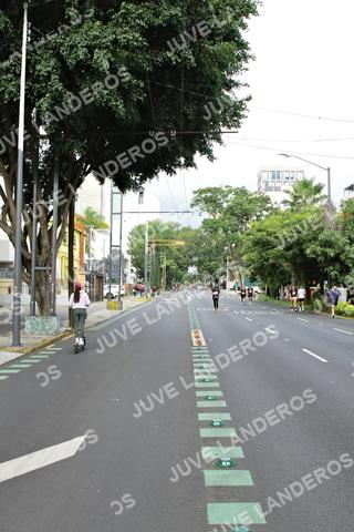 Foto de la X Carrera Leones Negros Red Cola 2026 a las 08:25
