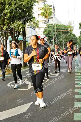 Foto de la X Carrera Leones Negros Red Cola 2026 a las 07:21