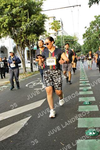 Foto de la X Carrera Leones Negros Red Cola 2026 a las 07:22