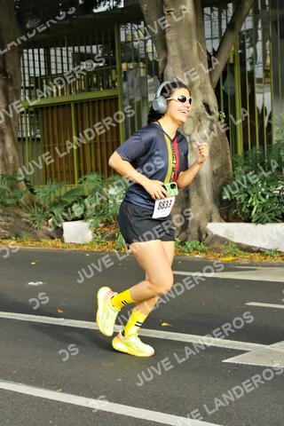 Foto de la X Carrera Leones Negros Red Cola 2026 a las 08:09