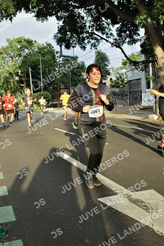 Foto de la X Carrera Leones Negros Red Cola 2026 a las 07:36