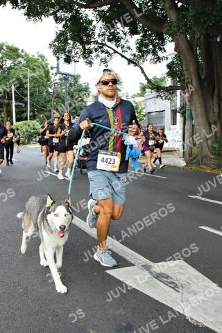 Foto de la X Carrera Leones Negros Red Cola 2026 a las 07:15