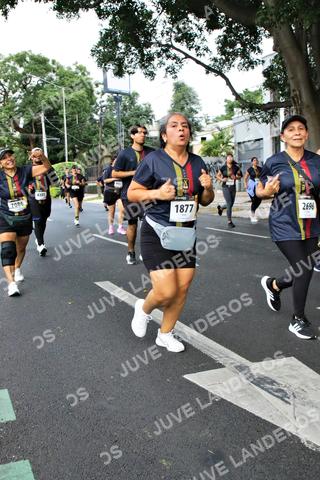 Foto de la X Carrera Leones Negros Red Cola 2026 a las 07:11