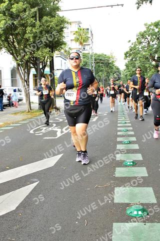 Foto de la X Carrera Leones Negros Red Cola 2026 a las 07:17
