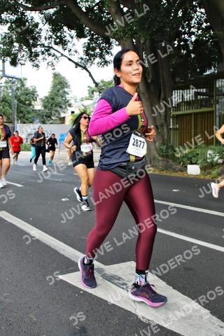 Foto de la X Carrera Leones Negros Red Cola 2026 a las 07:12