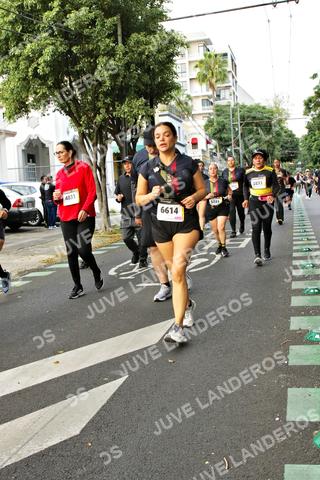 Foto de la X Carrera Leones Negros Red Cola 2026 a las 07:18
